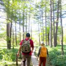 율하바른내과의원 이미지