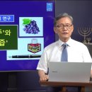 117. '포도주'와 '포도즙 이미지