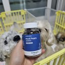 하임메디 이미지