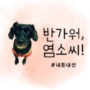 점핑몬스터 별내점 이미지