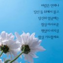 다소미에