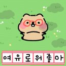 안양김준동물병원 이미지