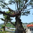 각기리 마을회관 이미지