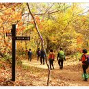 외씨버선길 이미지