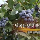 카페인씨네