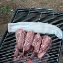 유상수산 | 김포 유선장어 포장 택배 전문 국내산 민물장어 손질 내돈내산 후기