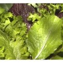 대한보청기 이미지