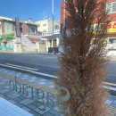 사그라도 | 광안리브런치/광안리맛집추천/광안리데이트추천 "사그라도"방문후기