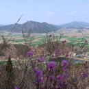 도치랑경로당 이미지