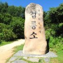 11월셋째주 제205차 태백 대덕산(1,307m) 산행 이미지