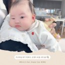 튼튼유도 | 키즈마일 이유식 1등 퍼기 신생아 트림 유도 꾹꾹이 사용 후기