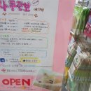 사쿠란보애견샵 부산대점 이미지
