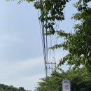 더(the)진주냉면 이미지