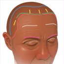 연세유피성형외과의원 이미지