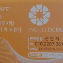 인생인셀덤