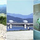 메밀꽃천서리막국수