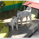 흥남주유소 이미지