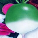 돌고지농장 이미지