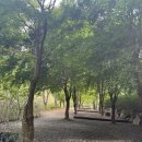 산상낙원 | 가을캠핑은 참 좋다! #제천산상낙원캠핑장 2박3일 후기