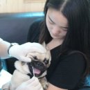 포커스 헬스 케어 이미지