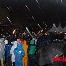 (주)들불