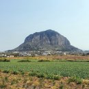 사계2248 | 제주도2박3일 여행 서귀포 숙소 추천/사계2248 펜션 내돈내산 솔직 후기