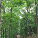 두류공원 이미지