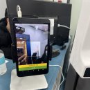 코끼리 코인노래연습장 이미지