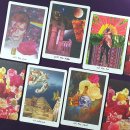 라이오니스 | 라이오니스 오라클 타로카드 The Lioness Oracle Tarot © 인터타로