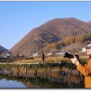 보보스캇 캠핑장 이미지