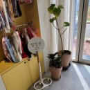 찹찹 펫푸드 이미지