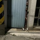 스낵 Snacc