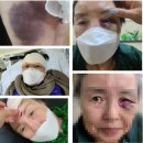 제주노몰