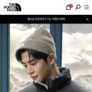 티엔에프(TNF) 이미지