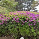 박한준종합동물병원 이미지