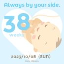 열상목장 | [임신38주2일-출산] 새싹이 탄생🌱/경산모 무통 못맞고 생으로 분만한 후기(강동고은빛 분만 1일차)