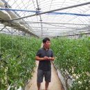 팔봉농장 이미지