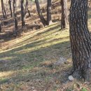 이가형제농장 이미지