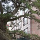 큰솔펜션 이미지