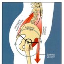 운동공간 정원 이미지