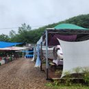 애플팜핑 이미지