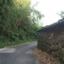 구룡농장 이미지