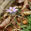 토영이야~길(2코스-미륵도길) 이미지