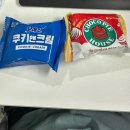 지에스25 뉴노량하늘점 | 퇴사 후 휘몰아친다 (+정신병 걸렸던 7월과 도비가 된 8월)