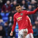 그린우드 이미지