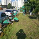 온천대로 이미지