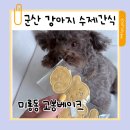 금광베네스타아파트 경로당 | 군산 강아지 수제간식 미룡동 고봉베이크 수제간식 후기