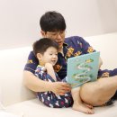 마음을 두드리는 그림책 똑 | 오은영 박사 감정그림책 교원 빨간펜 전집 우리 가족 활용법