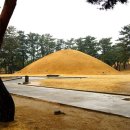 경주장 여관 이미지