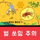 강동소방서 - 16437 | 강동소방서